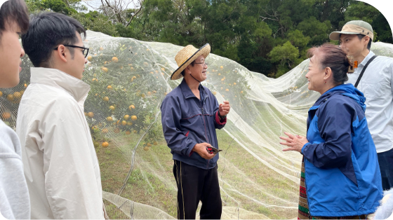 収穫体験 ～沖縄の自然に触れる～